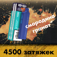 Одноразовая электронная сигарета Ashka Mars 4500 - Pomegranate with Currant (Гранат с Смородиной)